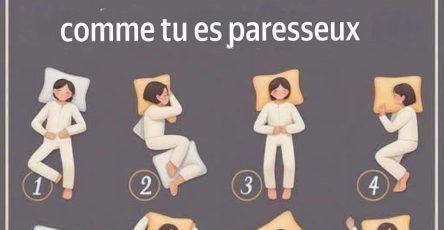 Translation 20260311