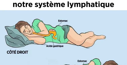 Voici les bienfaits de dormir sur le cote gauche pour notre cerveau notre estomac et notre systeme glymphatique.jpg