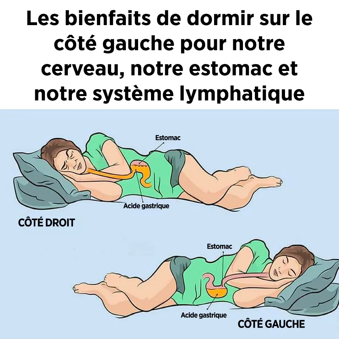 Voici les bienfaits de dormir sur le cote gauche pour notre cerveau notre estomac et notre systeme glymphatique.jpg