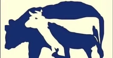 Vous auriez un oeil de lynx si vous pouviez reperer tous les animaux sur cette image.jpg