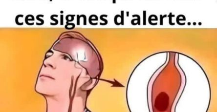 625744799 2212872059532801 6854361009192199417 n