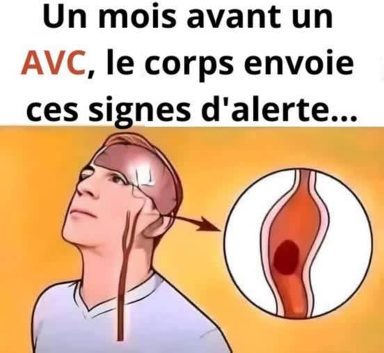 625744799 2212872059532801 6854361009192199417 n