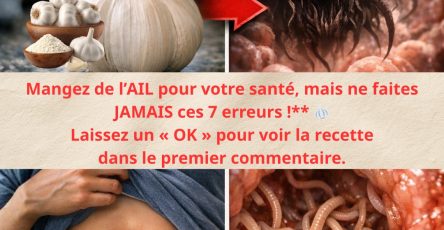 646844916 903051265664126 5155471746279397786 n