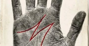 650430169 122095166480882226 8610331072004362261 n