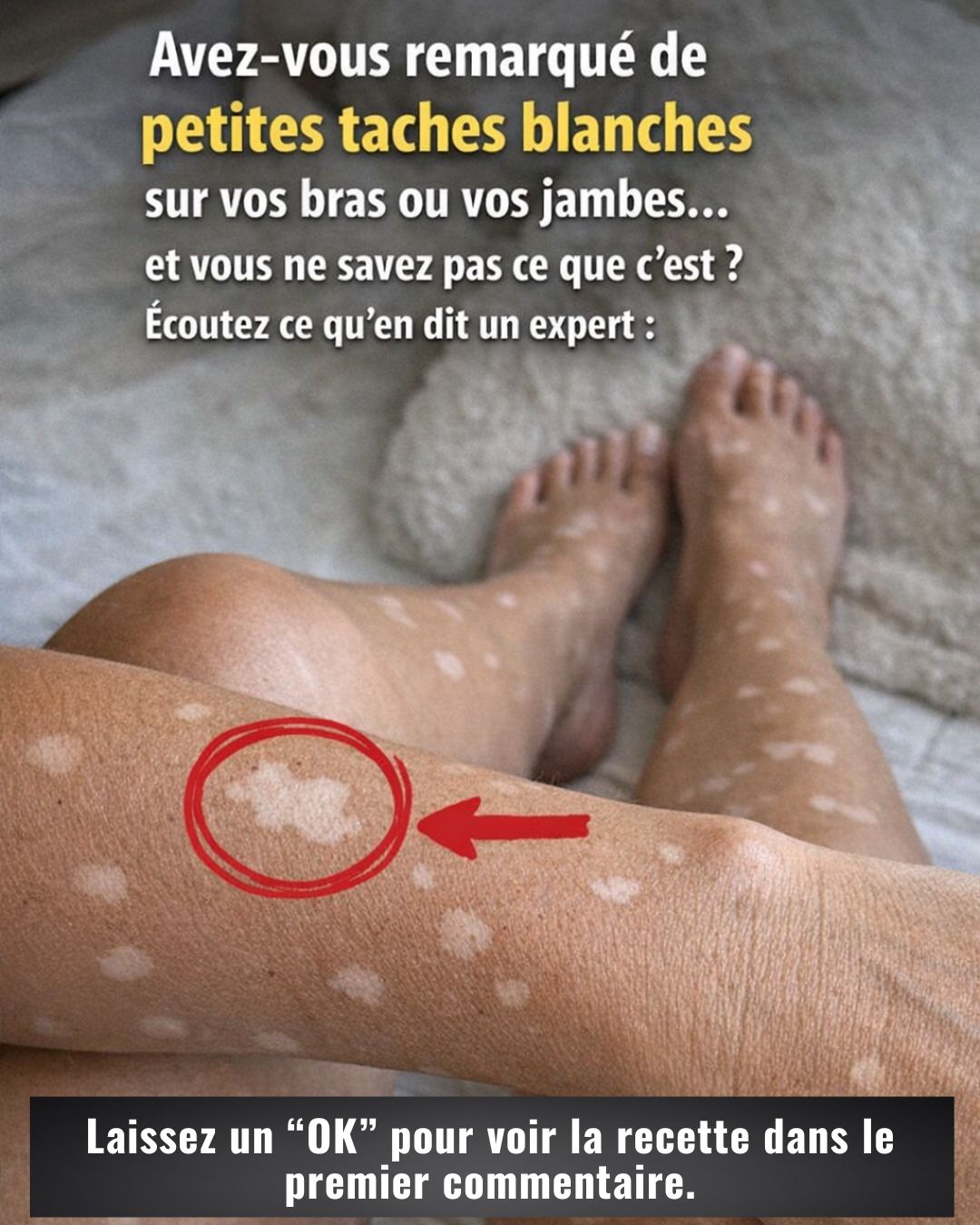 651271595 122130509913078200 250851817512812183 n