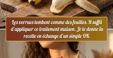 657584927 2751657765193804 6919092508583821639 n