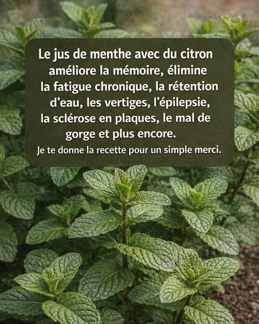 658139268 4332447886899895 2107139913320925267 n