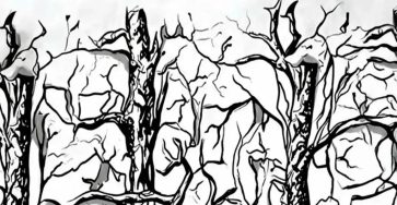 658444423 1731084137870454 4181369486941825730 n