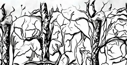 658444423 1731084137870454 4181369486941825730 n