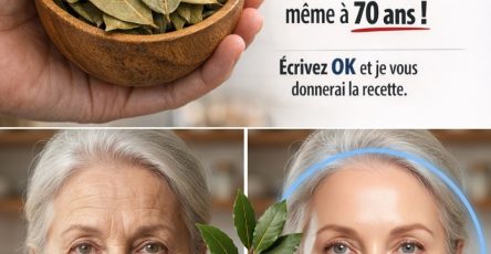 659838792 913037728213476 8639539857610878778 n