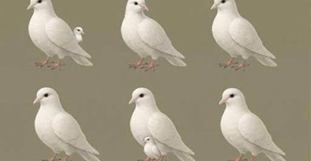 660297152 122098498916847961 6629534171136718912 n