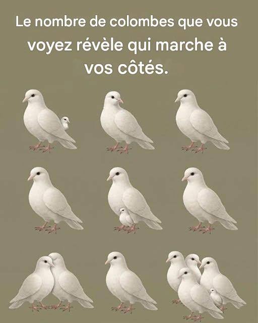 660297152 122098498916847961 6629534171136718912 n