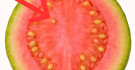 660931477 1507340264118001 5367075020146301615 n