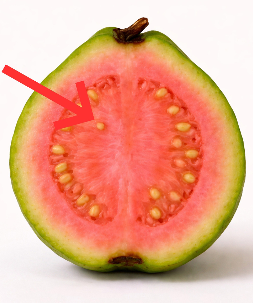 660931477 1507340264118001 5367075020146301615 n