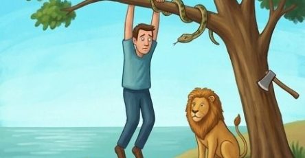 662089287 122108017707285979 3944368016888576638 n