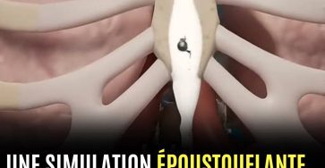 662658887 122289174626220056 8778060801754983010 n