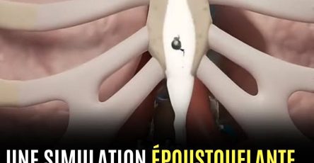 662658887 122289174626220056 8778060801754983010 n