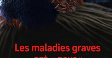 663310845 1795188481437547 1386630702198281608 n