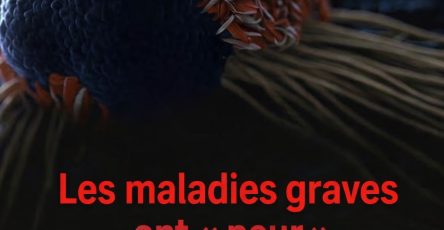 663310845 1795188481437547 1386630702198281608 n