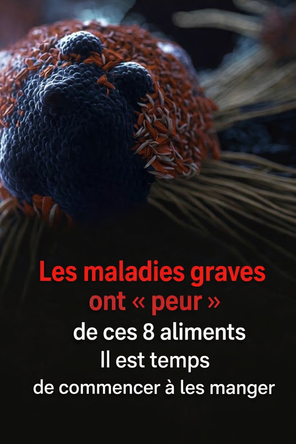 663310845 1795188481437547 1386630702198281608 n