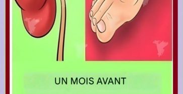 668473632 122264431838184148 3250294548546994643 n