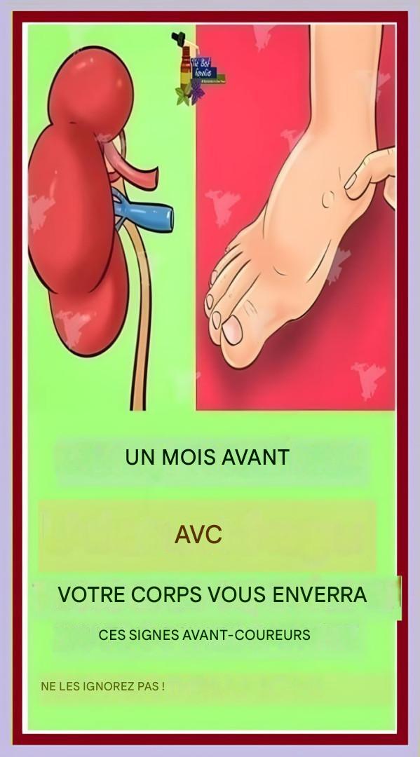 668473632 122264431838184148 3250294548546994643 n