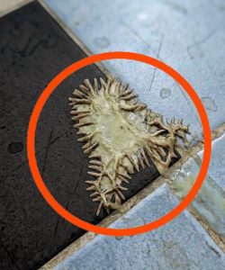 672670487 1519826706202690 981240389608482748 n