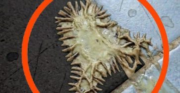 672670487 1519826706202690 981240389608482748 n