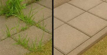 WhatsApp Image 2026 02 22 at 11.39.30 PM