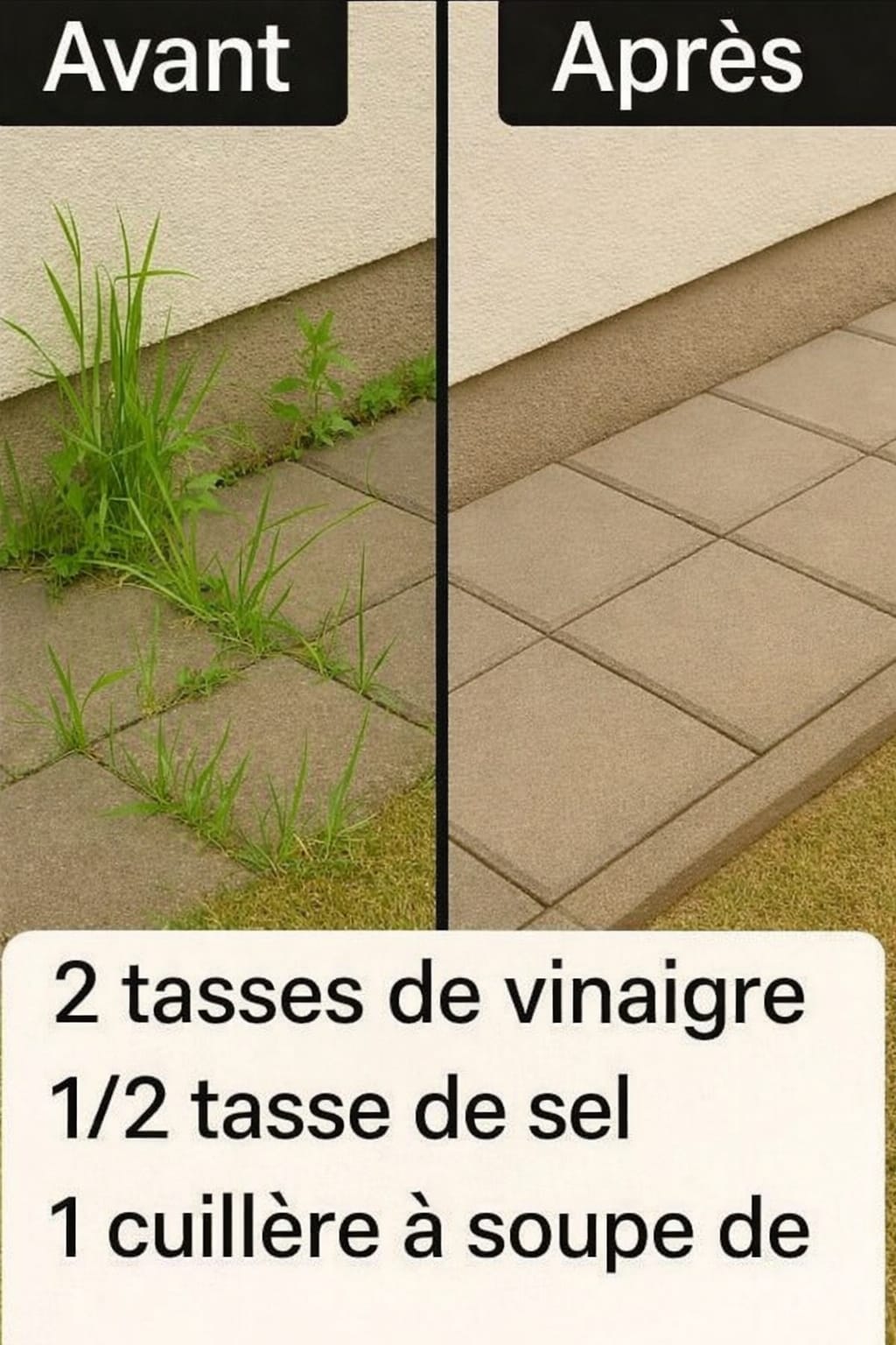 WhatsApp Image 2026 02 22 at 11.39.30 PM