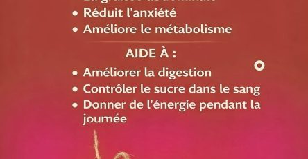 WhatsApp Image 2026 04 17 at 6.16.10 PM