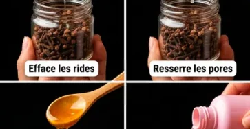 Bienfaits du clou de girofle pour la peau huile de clou de girofle gel de clou de girofle et glacons au clou de girofle.jpg