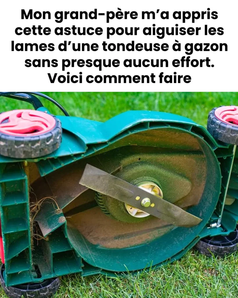 Comment aiguiser les lames dune tondeuse a gazon 819x1024.jpg