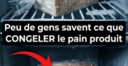 Comment congeler du pain sans quil se desseche.jpg