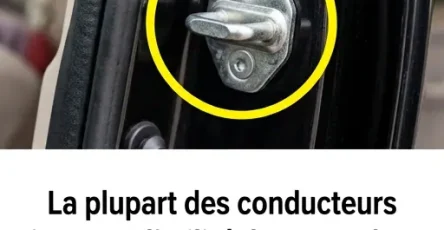 Crochet de portiere de voiture a quoi sert til.jpg