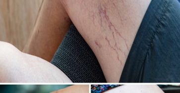 D16908e9 988f 4c4d beb0 06c146677cd8