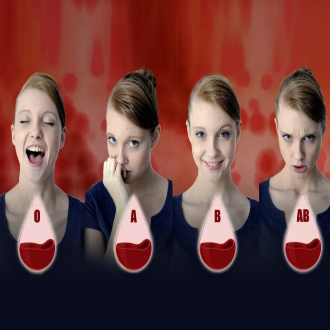 710669016 1353423183345231 3277444619144656201 n