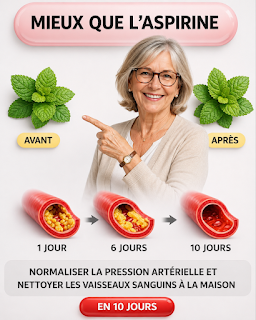 Reccetete (94) (1)