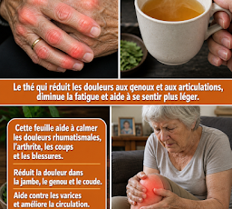 Bababa (78)
