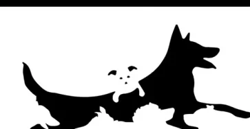 Le nombre de chiens que vous apercevez revelerait votre age mental.jpg