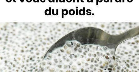 Proprietes des graines de chia calories bienfaits et contre indications