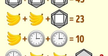747536225 2087091582237999 94347251056390370 n