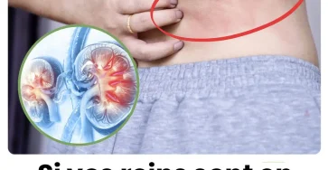 Votre corps vous enverra ces 10 signes si vos reins sont en danger.jpg